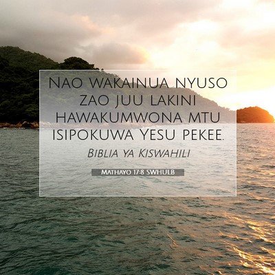 Picture 07 - Mathayo 17:8 SWHULB - Nao wakainua nyuso zao juu lakini hawakumwona mtu - Bible Verse Picture
