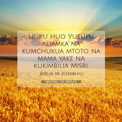 Picture 07 - Mathayo 2:14 SWHULB - Usiku huo Yusufu aliamka na kumchukua mtoto na - Bible Verse Picture