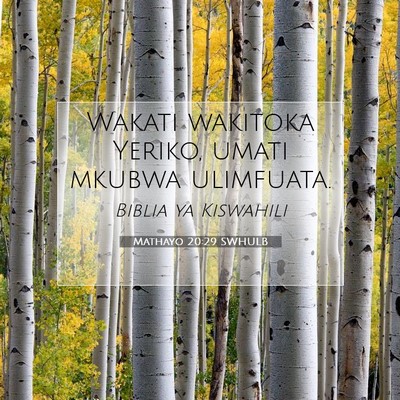 Picture 07 - Mathayo 20:29 SWHULB - Wakati wakitoka Yeriko, umati mkubwa - Bible Verse Picture