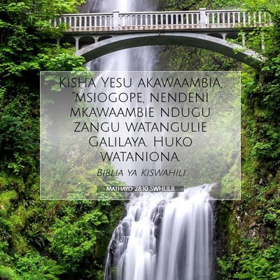 Picture 07 - Mathayo 28:10 SWHULB - Kisha Yesu akawaambia, “msiogope, nendeni - Bible Verse Picture