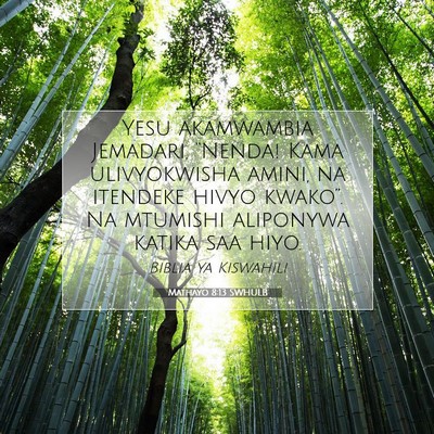 Picture 07 - Mathayo 8:13 SWHULB - Yesu akamwambia Jemadari, “Nenda! Kama - Bible Verse Picture