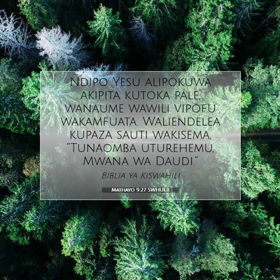 Picture 07 - Mathayo 9:27 SWHULB - Ndipo Yesu alipokuwa akipita kutoka pale, wanaume - Bible Verse Picture