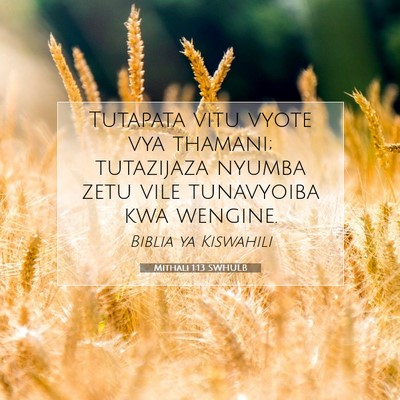Picture 07 - Mithali 1:13 SWHULB - Tutapata vitu vyote vya thamani; tutazijaza - Bible Verse Picture