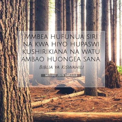 Picture 07 - Mithali 20:19 SWHULB - Mmbea hufunua siri na kwa hiyo hupaswi - Bible Verse Picture