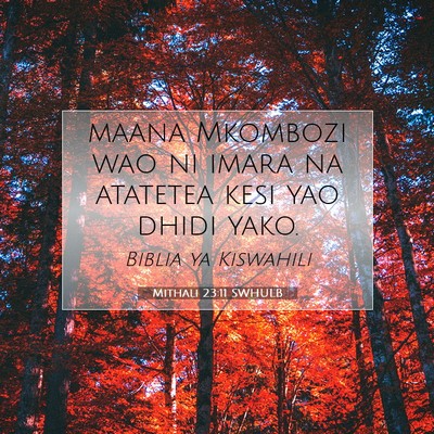 Picture 07 - Mithali 23:11 SWHULB - maana Mkombozi wao ni imara na atatetea kesi yao - Bible Verse Picture