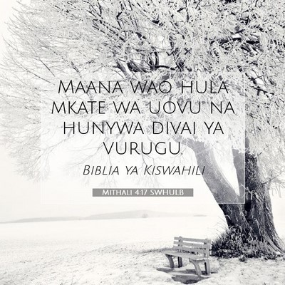 Picture 07 - Mithali 4:17 SWHULB - Maana wao hula mkate wa uovu na hunywa divai ya - Bible Verse Picture
