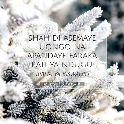 Picture 07 - Mithali 6:19 SWHULB - shahidi asemaye uongo na apandaye faraka kati ya - Bible Verse Picture
