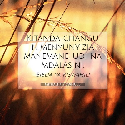 Picture 07 - Mithali 7:17 SWHULB - Kitanda changu nimenyunyizia manemane, udi na - Bible Verse Picture