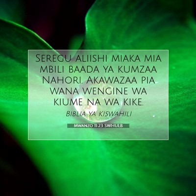 Picture 07 - Mwanzo 11:23 SWHULB - Seregu aliishi miaka mia mbili baada ya kumzaa - Bible Verse Picture