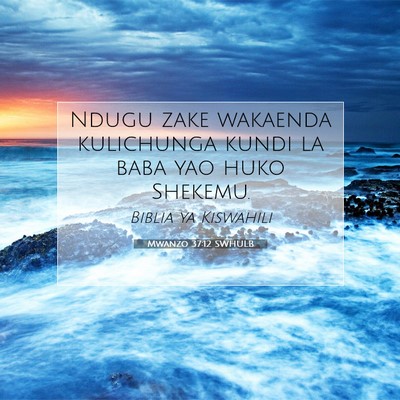 Picture 07 - Mwanzo 37:12 SWHULB - Ndugu zake wakaenda kulichunga kundi la baba yao - Bible Verse Picture