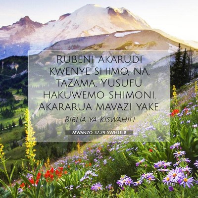 Picture 07 - Mwanzo 37:29 SWHULB - Rubeni akarudi kwenye shimo, na, tazama, Yusufu - Bible Verse Picture