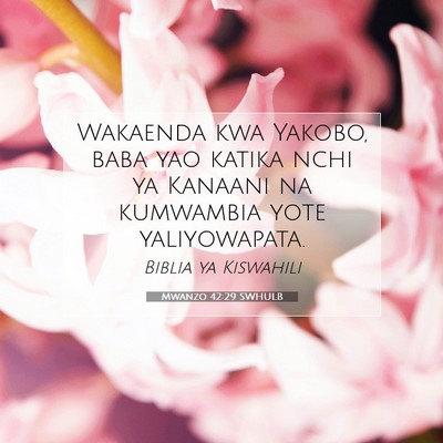 Picture 07 - Mwanzo 42:29 SWHULB - Wakaenda kwa Yakobo, baba yao katika nchi ya - Bible Verse Picture