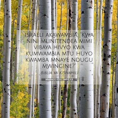 Picture 07 - Mwanzo 43:6 SWHULB - Israeli akawambia, “Kwa nini mlinitendea mimi - Bible Verse Picture