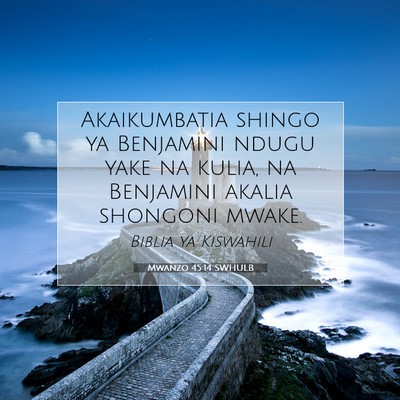 Picture 07 - Mwanzo 45:14 SWHULB - Akaikumbatia shingo ya Benjamini ndugu yake na - Bible Verse Picture
