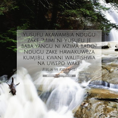 Picture 07 - Mwanzo 45:3 SWHULB - Yusufu akawambia ndugu zake, “Mimi ni Yusufu. - Bible Verse Picture