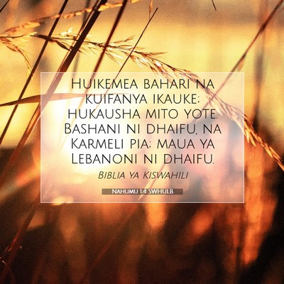 Picture 07 - Nahumu 1:4 SWHULB - Huikemea bahari na kuifanya ikauke; hukausha mito - Bible Verse Picture