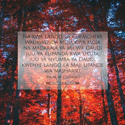 Picture 07 - Nehemia 12:37 SWHULB - Na kwa Lango la Chemchemi walikwenda moja kwa - Bible Verse Picture