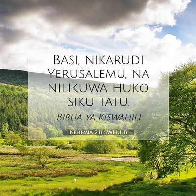Picture 07 - Nehemia 2:11 SWHULB - Basi, nikarudi Yerusalemu, na nilikuwa huko siku - Bible Verse Picture