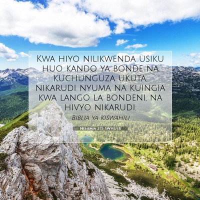 Picture 07 - Nehemia 2:15 SWHULB - Kwa hiyo nilikwenda usiku huo kando ya bonde na - Bible Verse Picture