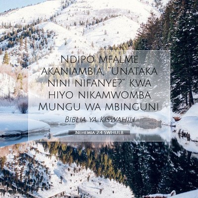 Picture 07 - Nehemia 2:4 SWHULB - Ndipo mfalme akaniambia, “Unataka nini - Bible Verse Picture