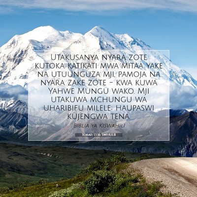 Picture 07 - Torati 13:16 SWHULB - Utakusanya nyara zote kutoka katikati mwa mitaa - Bible Verse Picture