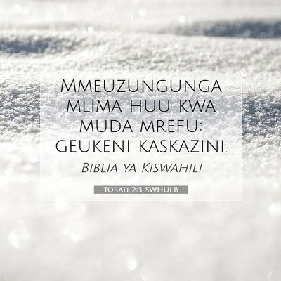Picture 07 - Torati 2:3 SWHULB - Mmeuzungunga mlima huu kwa muda mrefu; geukeni - Bible Verse Picture
