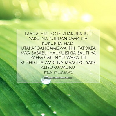 Picture 07 - Torati 28:45 SWHULB - Laana hizi zote zitakujia juu yako na kukuandama - Bible Verse Picture