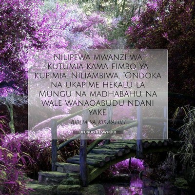 Picture 07 - Ufunuo 11:1 SWHULB - Nilipewa mwanzi wa kutumia kama fimbo ya kupimia. - Bible Verse Picture