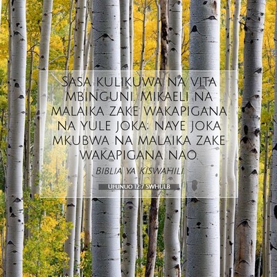 Picture 07 - Ufunuo 12:7 SWHULB - Sasa kulikuwa na vita mbinguni. Mikaeli na - Bible Verse Picture