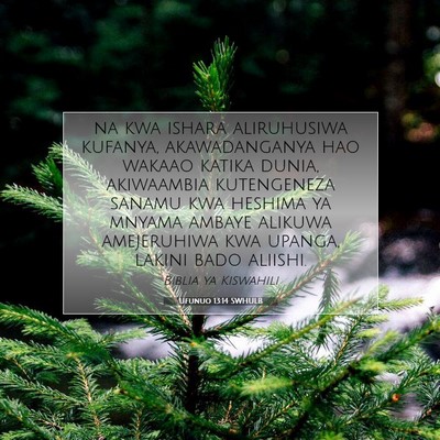 Picture 07 - Ufunuo 13:14 SWHULB - na kwa ishara aliruhusiwa kufanya, akawadanganya - Bible Verse Picture