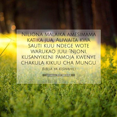 Picture 07 - Ufunuo 19:17 SWHULB - Niliona malaika amesimama katika jua. Aliwaita - Bible Verse Picture