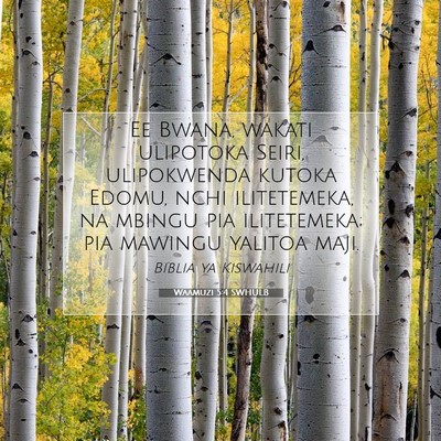 Picture 07 - Waamuzi 5:4 SWHULB - Ee Bwana, wakati ulipotoka Seiri, ulipokwenda - Bible Verse Picture