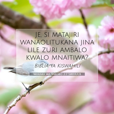 Picture 07 - Waraka wa Yakobo 2:7 SWHULB - Je, si matajiri wanaolitukana jina lile zuri - Bible Verse Picture