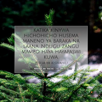 Picture 07 - Waraka wa Yakobo 3:10 SWHULB - Katika kinywa hichohicho husema maneno ya baraka - Bible Verse Picture
