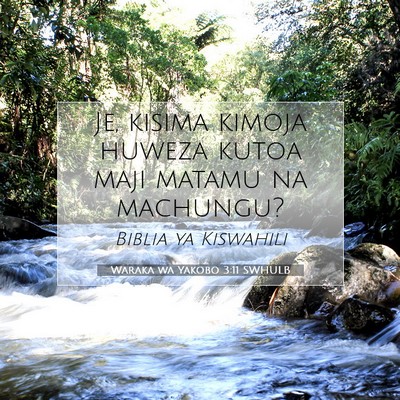 Picture 07 - Waraka wa Yakobo 3:11 SWHULB - Je, kisima kimoja huweza kutoa maji matamu na - Bible Verse Picture