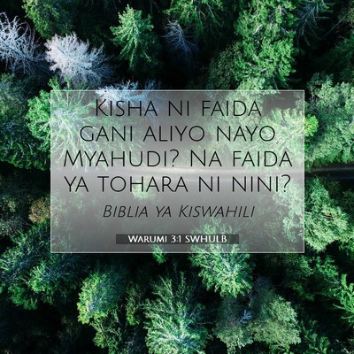 Picture 07 - Warumi 3:1 SWHULB - Kisha ni faida gani aliyo nayo Myahudi? Na faida - Bible Verse Picture