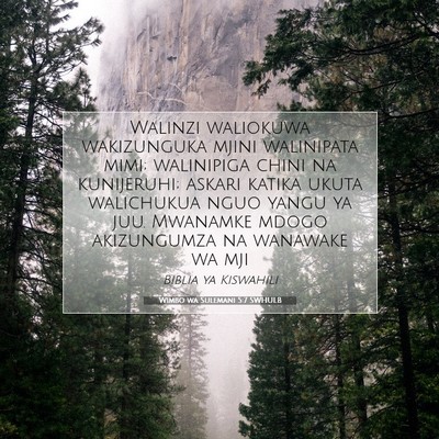 Picture 07 - Wimbo wa Sulemani 5:7 SWHULB - Walinzi waliokuwa wakizunguka mjini walinipata - Bible Verse Picture