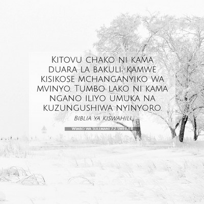 Picture 07 - Wimbo wa Sulemani 7:2 SWHULB - Kitovu chako ni kama duara la bakuli; kamwe - Bible Verse Picture