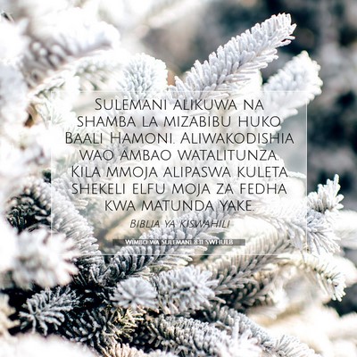 Picture 07 - Wimbo wa Sulemani 8:11 SWHULB - Sulemani alikuwa na shamba la mizabibu huko Baali - Bible Verse Picture