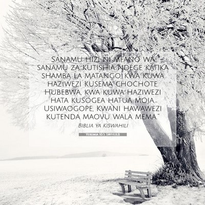 Picture 07 - Yeremia 10:5 SWHULB - Sanamu hizi ni mfano wa sanamu za kutishia ndege - Bible Verse Picture