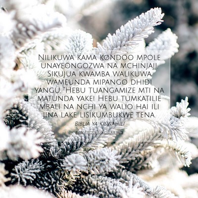 Picture 07 - Yeremia 11:19 SWHULB - Nilikuwa kama kondoo mpole unayeongozwa na - Bible Verse Picture