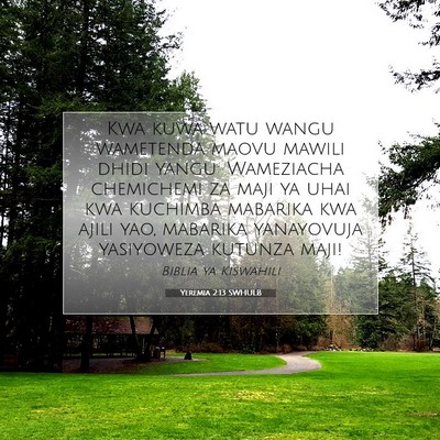 Picture 07 - Yeremia 2:13 SWHULB - Kwa kuwa watu wangu wametenda maovu mawili dhidi - Bible Verse Picture