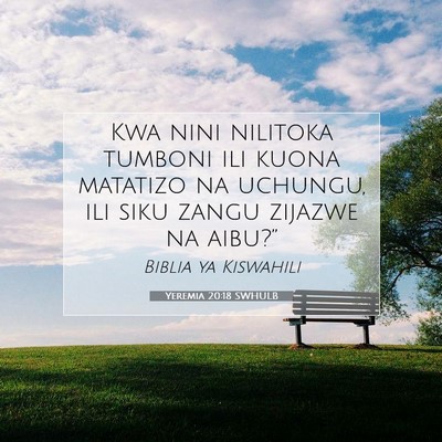 Picture 07 - Yeremia 20:18 SWHULB - Kwa nini nilitoka tumboni ili kuona matatizo na - Bible Verse Picture