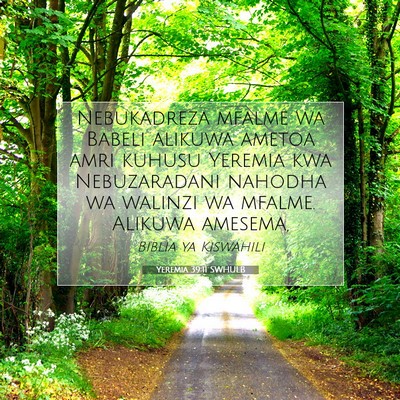 Picture 07 - Yeremia 39:11 SWHULB - Nebukadreza mfalme wa Babeli alikuwa ametoa amri - Bible Verse Picture