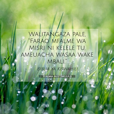 Picture 07 - Yeremia 46:17 SWHULB - Walitangaza pale, “Farao mfalme wa Misri ni - Bible Verse Picture