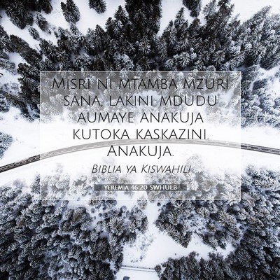Picture 07 - Yeremia 46:20 SWHULB - Misri ni mtamba mzuri sana, lakini mdudu aumaye - Bible Verse Picture