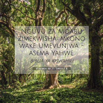 Picture 07 - Yeremia 48:25 SWHULB - Nguvu za Moabu zimekwisha; mkono wake umevunjwa - - Bible Verse Picture
