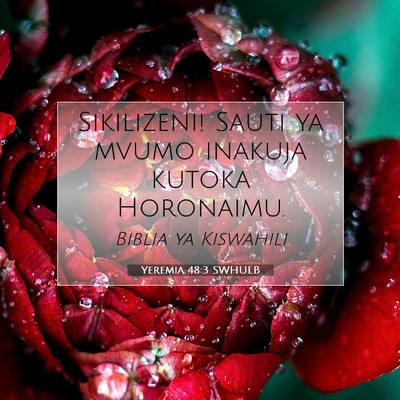 Picture 07 - Yeremia 48:3 SWHULB - Sikilizeni! Sauti ya mvumo inakuja kutoka - Bible Verse Picture