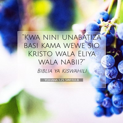 Picture 07 - Yohana 1:25 SWHULB - “Kwa nini unabatiza basi kama wewe sio Kristo - Bible Verse Picture