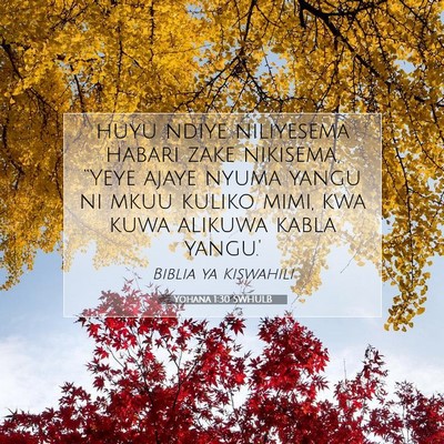 Picture 07 - Yohana 1:30 SWHULB - huyu ndiye niliyesema habari zake nikisema, - Bible Verse Picture